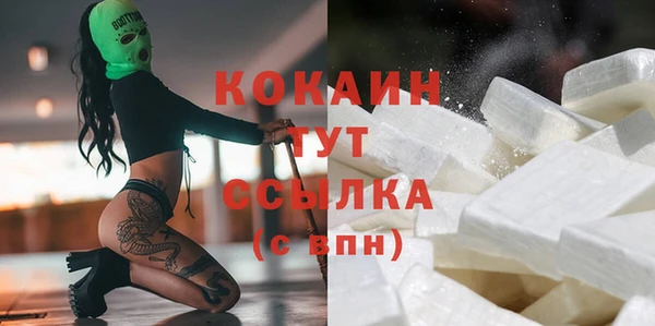 гашик Аркадак