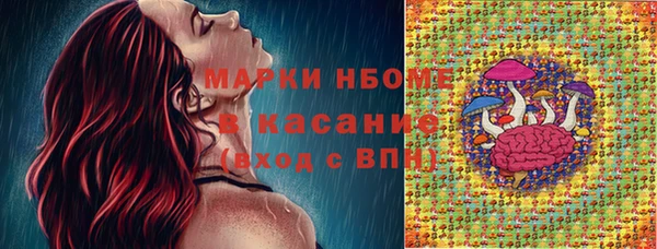 гашик Аркадак