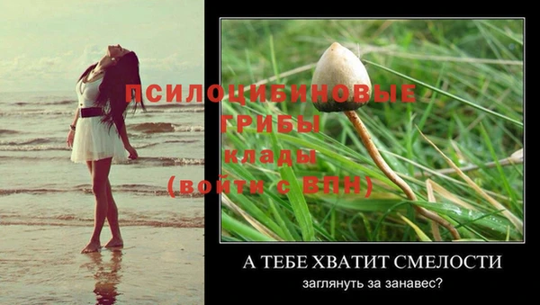 первитин Армянск