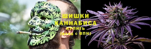 гашик Аркадак