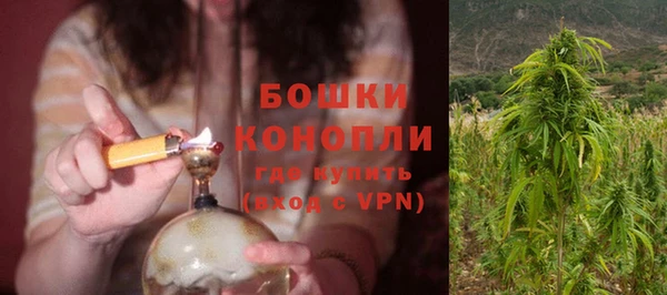 амф Осташков